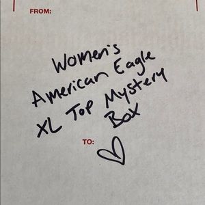 Women’s American Eagle XL top mystery box